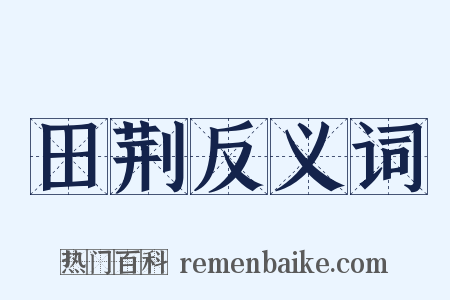 田荆反义词是什么意思的图片